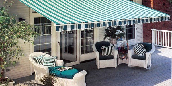 canopy1