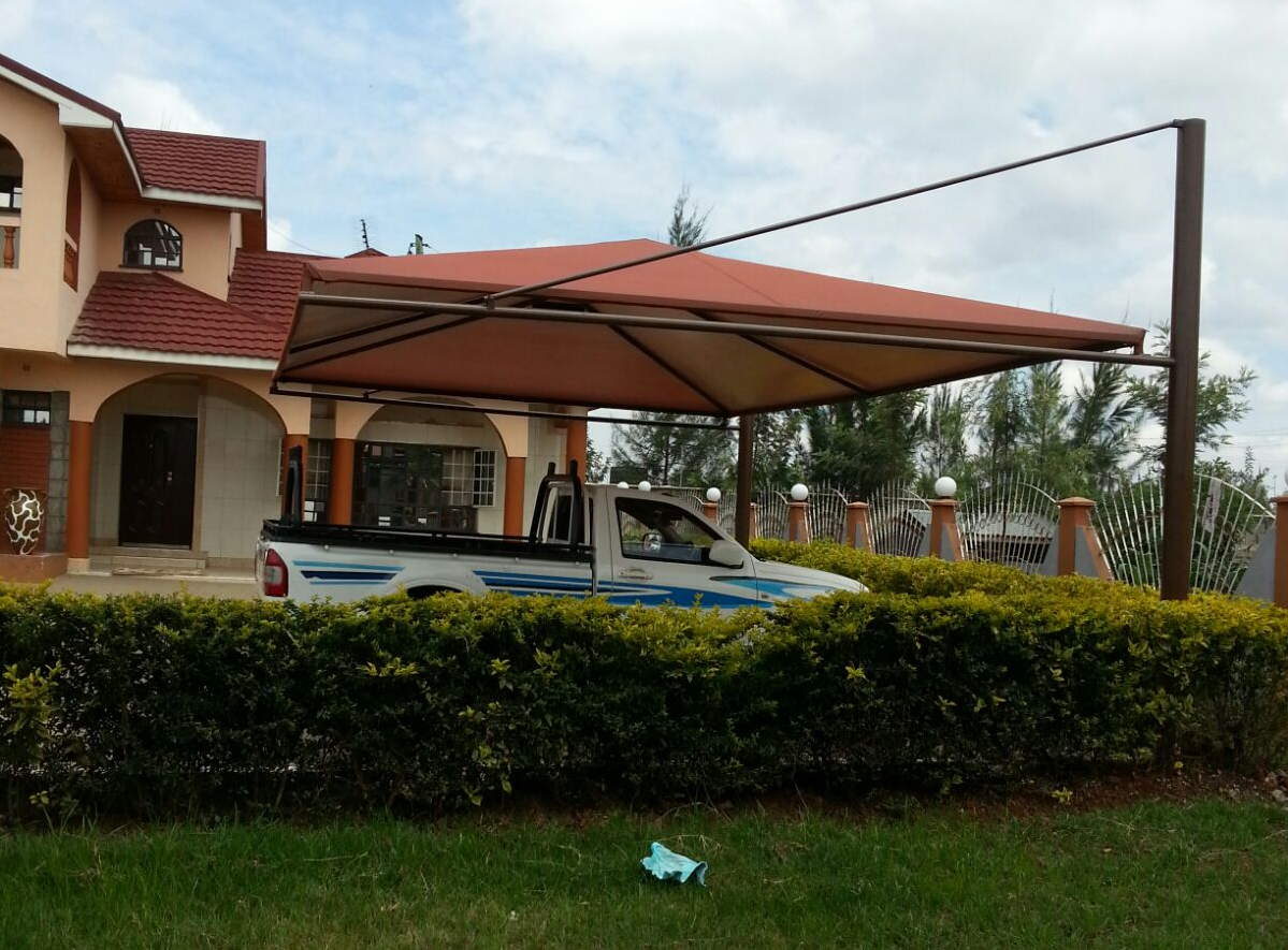 canopy3