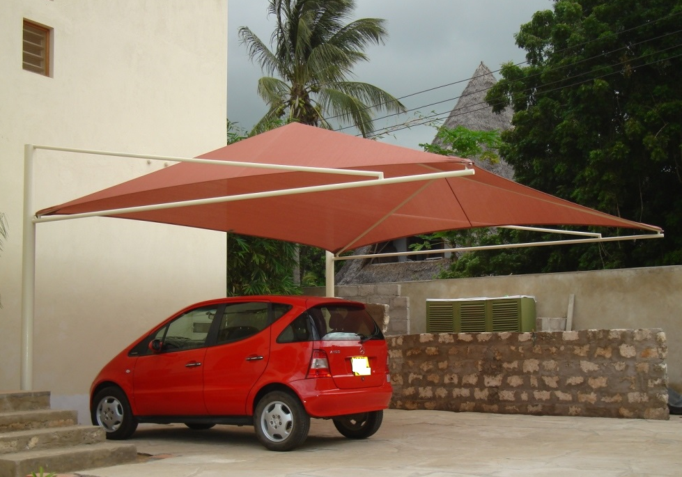 canopy5