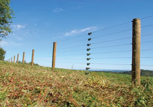 elecfence1